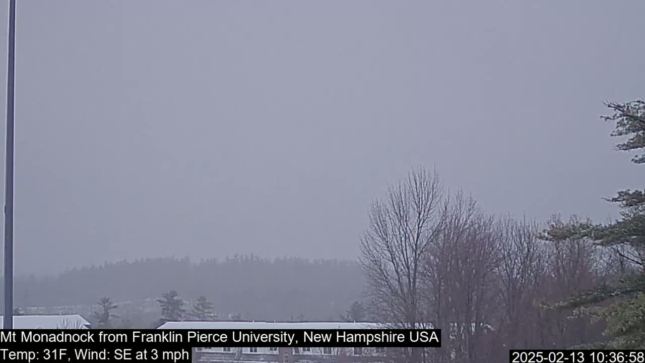 A hazy, overcast view of a distant mountain range and bare trees, with a temperature of 31°F and a southeasterly wind.