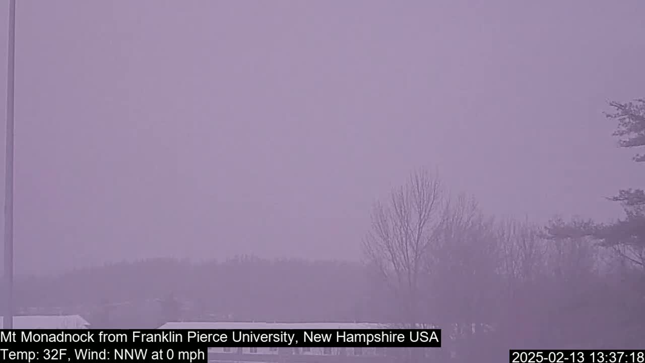 A hazy, foggy landscape is visible, showing bare trees and a distant horizon under a muted sky.