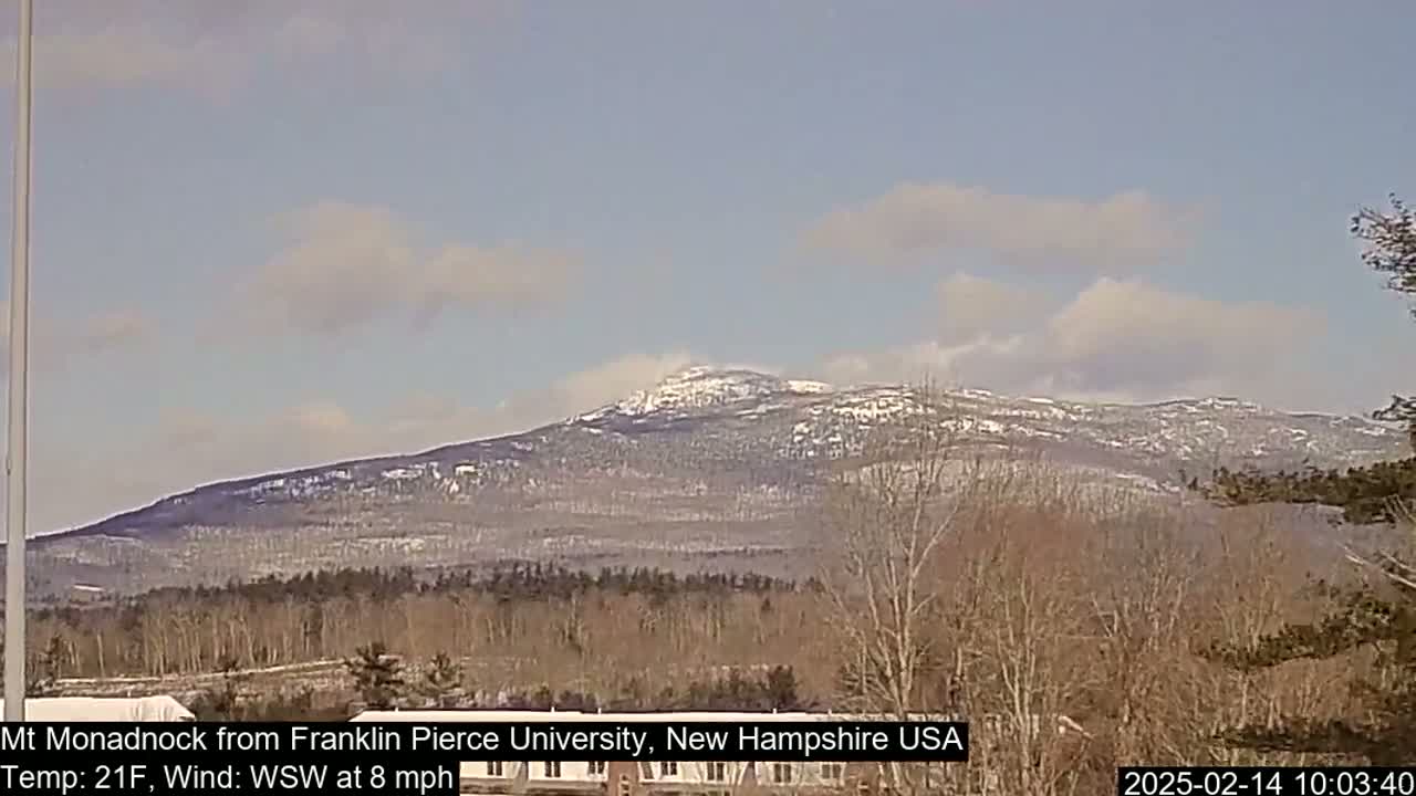 A snow-dusted mountain is visible in the distance under a partly cloudy sky, with bare trees and shrubs in the foreground.