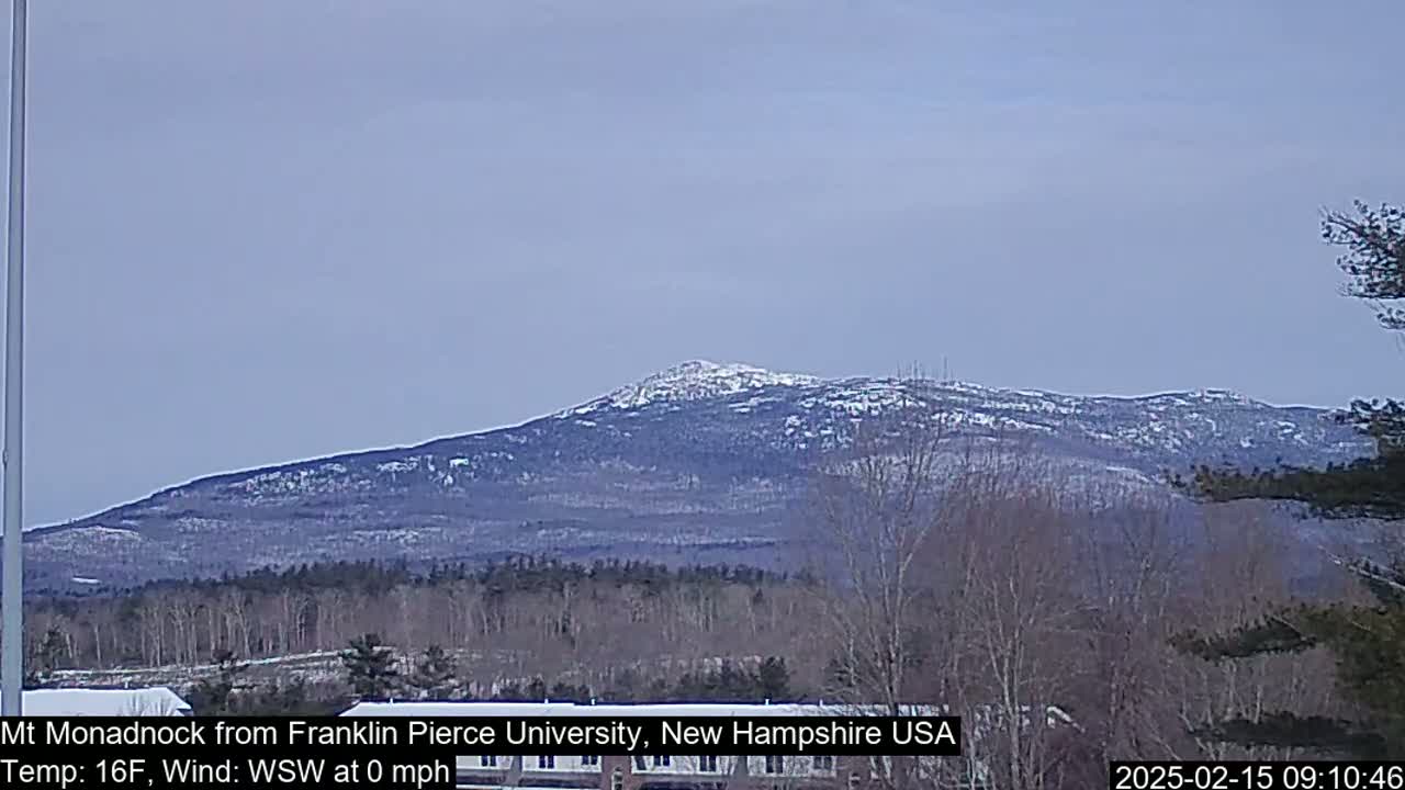 A snow-dusted mountain is visible in the distance under a clear, pale sky, with bare trees in the foreground.