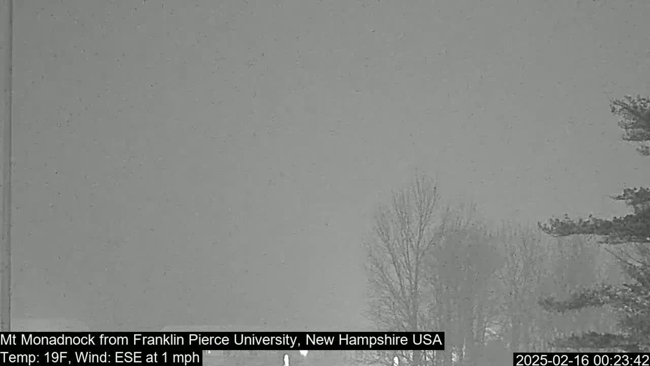 A lightly snowing, gray landscape is visible, featuring bare trees and a muted background.