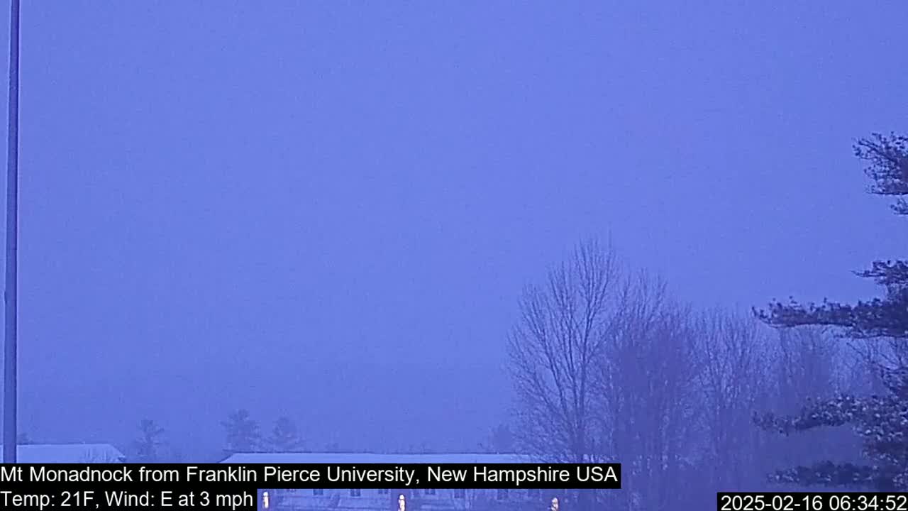 A hazy, distant mountain is visible through bare trees on a cold, windy morning.