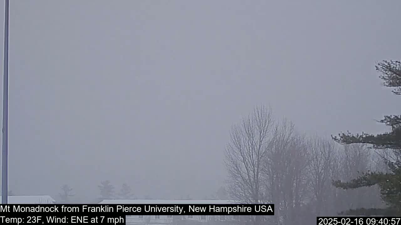 A hazy, snowy landscape is visible, with bare trees in the foreground and a muted background.