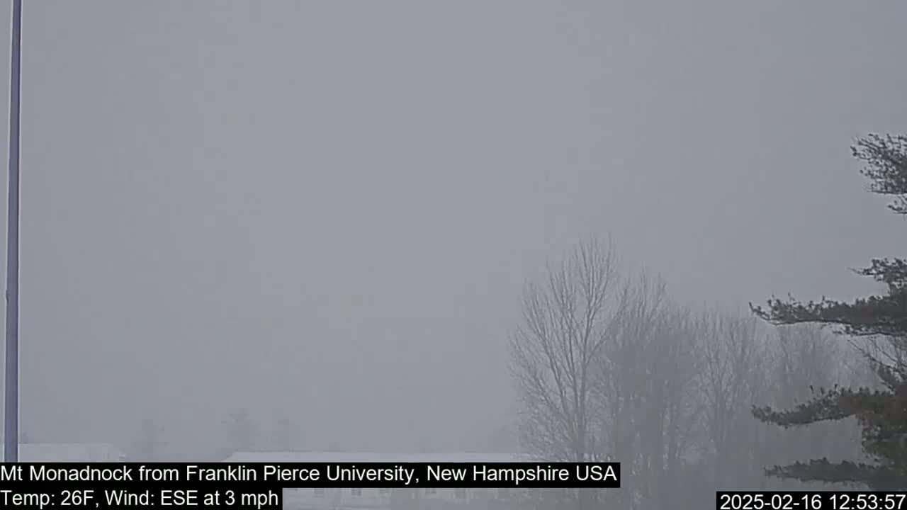 A foggy, outdoor scene shows bare trees and a hazy view of a distant mountain in the cold.