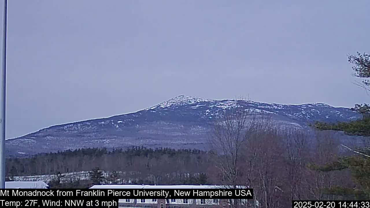 A snow-dusted mountain range is visible in the distance under a pale gray sky, with bare trees and shrubs in the foreground.