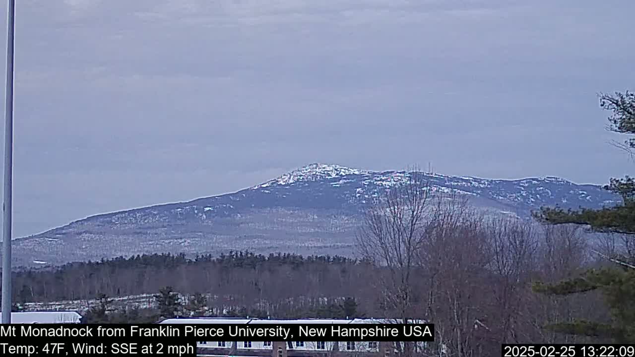 A snow-dusted mountain range is visible in the distance under a cloudy sky, with bare trees in the foreground.