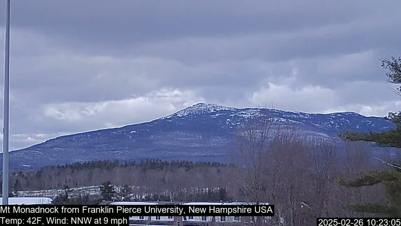 A snow-dusted mountain is visible in the distance under a cloudy sky.