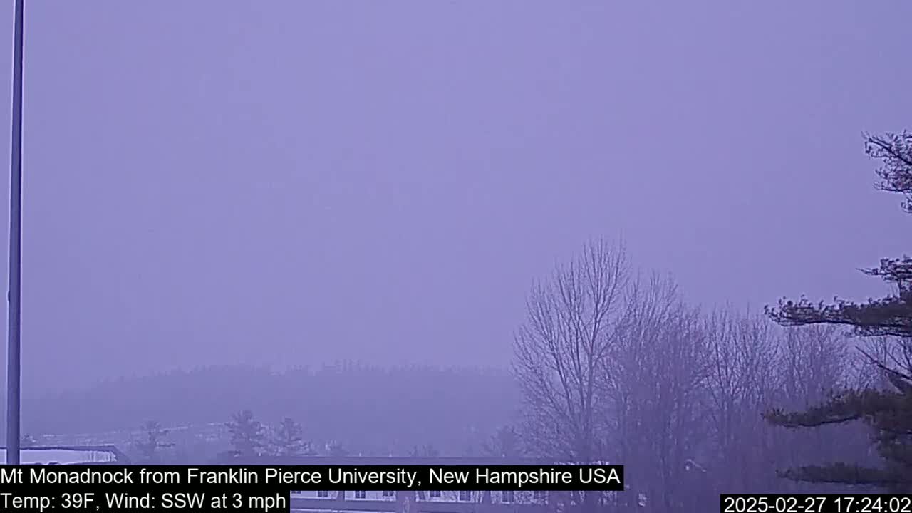 A hazy, lavender-toned view of a distant mountain range and bare winter trees under a muted sky.