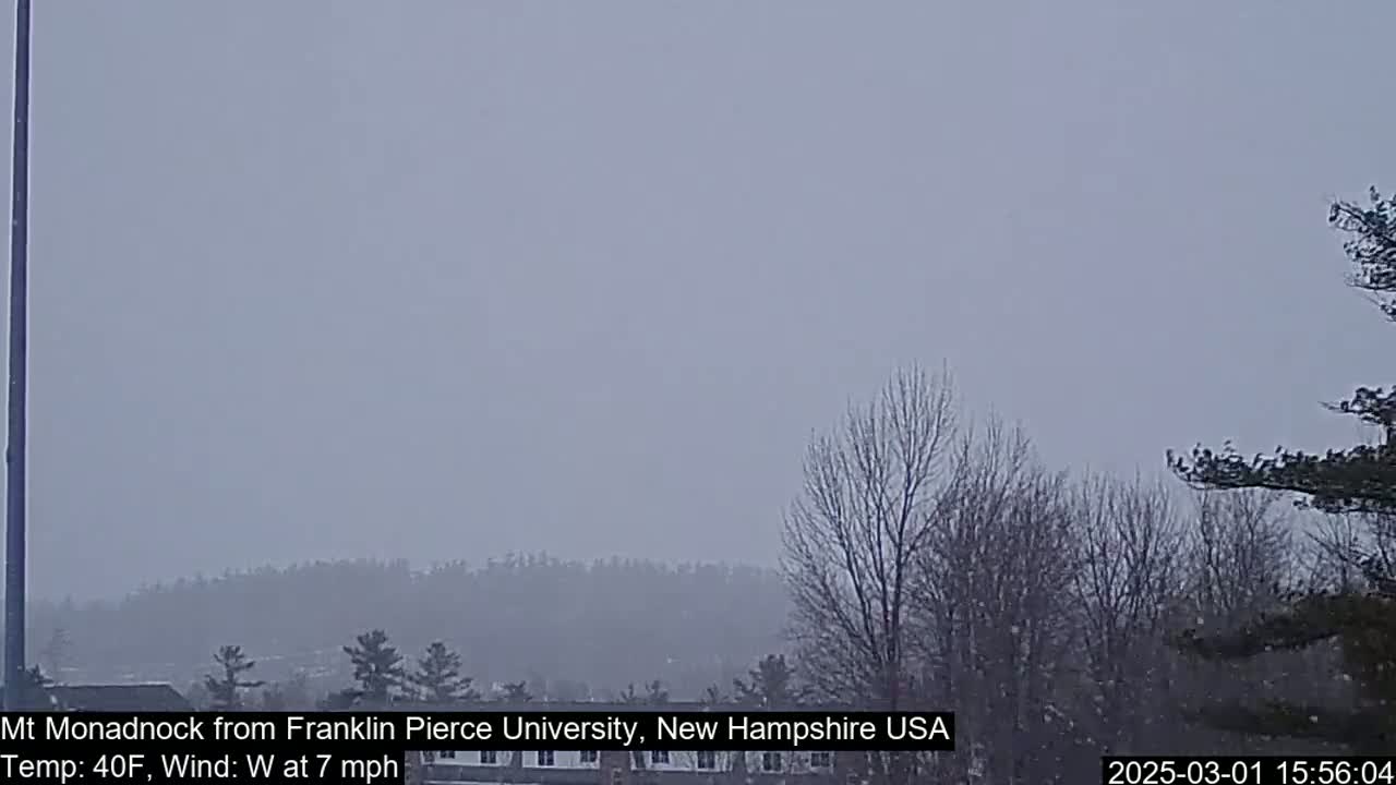 A hazy, snowy landscape with bare trees in the foreground and a distant line of trees under a light gray sky.