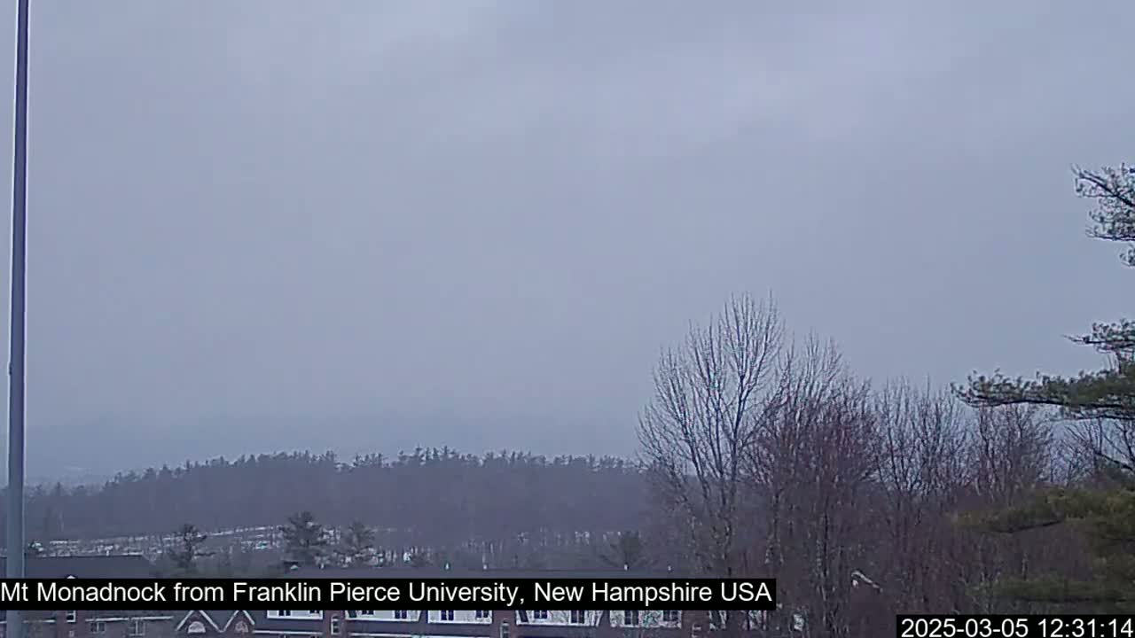 A hazy, overcast sky hangs over a distant line of trees and a closer collection of bare, winter trees and buildings.