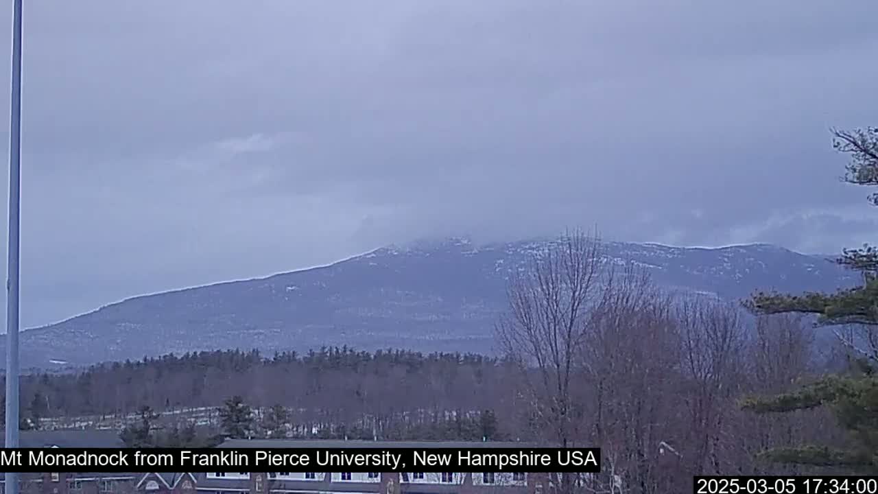 A snow-dusted mountain range is visible in the distance under an overcast sky, with bare trees and buildings in the foreground.