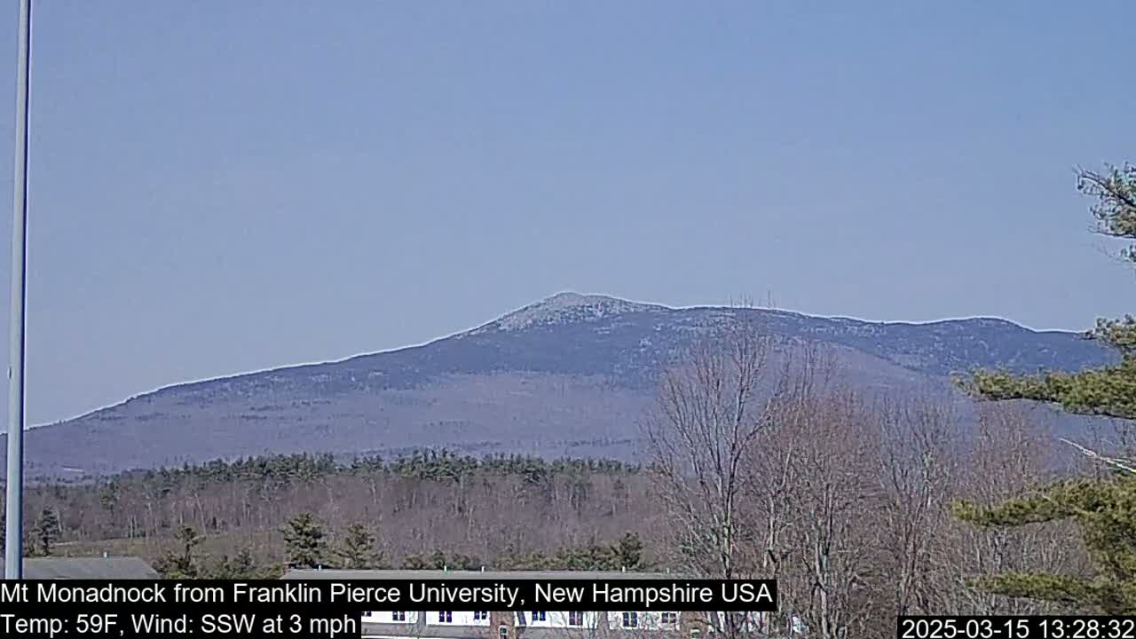 A distant, large mountain is visible under a clear, light-blue sky, with bare trees in the foreground.