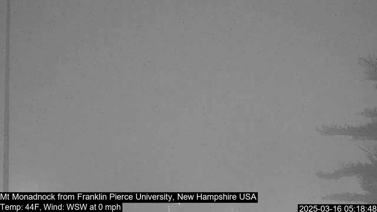 A gray, overcast sky is visible with a calm wind, and a dark silhouette of trees is in the bottom right corner.