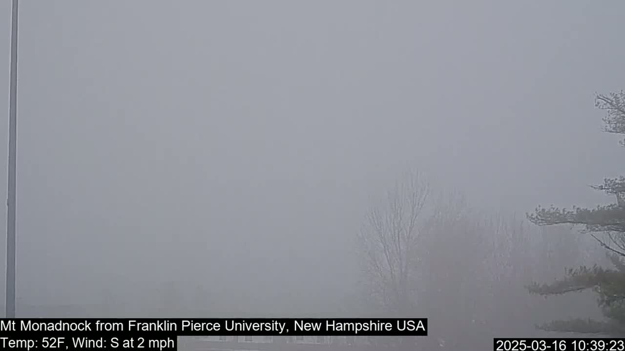 A foggy landscape shows bare trees and a hazy view in the distance.
