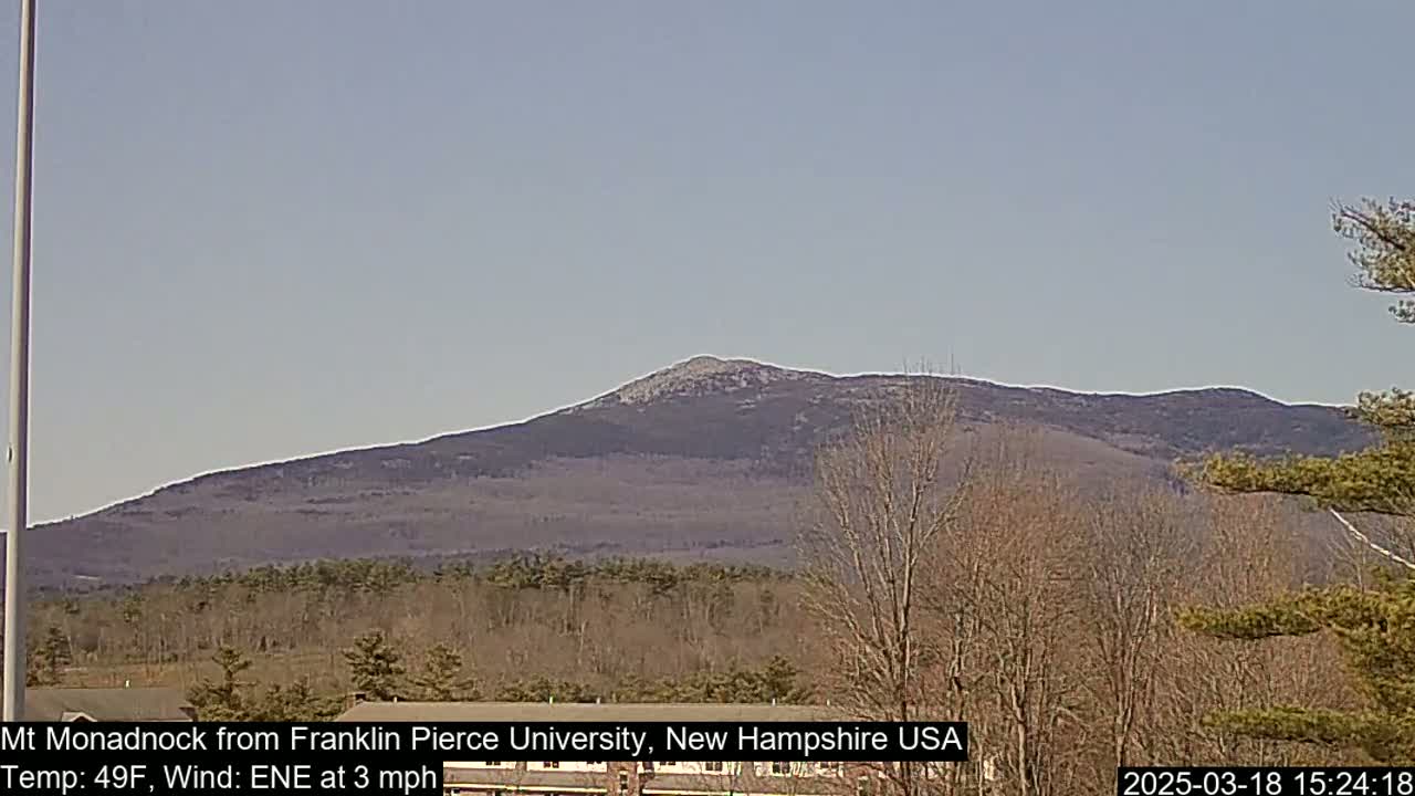 A distant, tree-covered mountain is visible under a clear, light-blue sky.