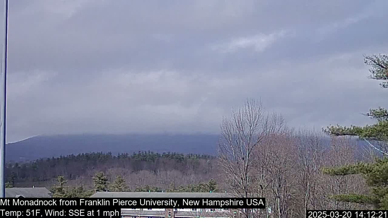 A distant mountain is visible through a mostly cloudy sky, with bare trees and buildings in the foreground.