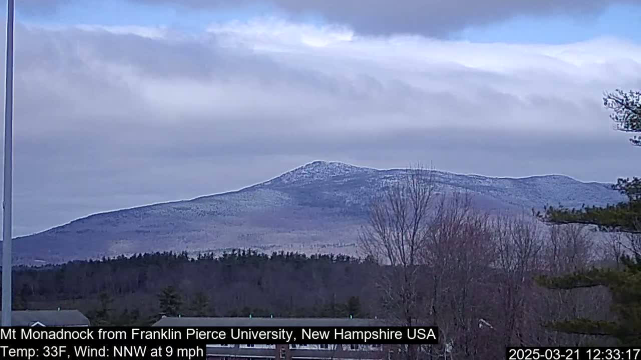 A snow-dusted mountain range is visible under a cloudy sky, with bare trees in the foreground.