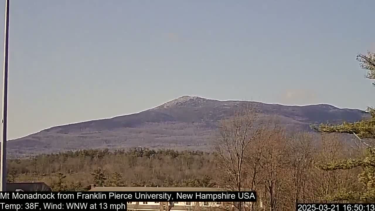 A distant, snow-capped mountain is visible under a clear, light-blue sky, with bare trees and scrub brush in the foreground.