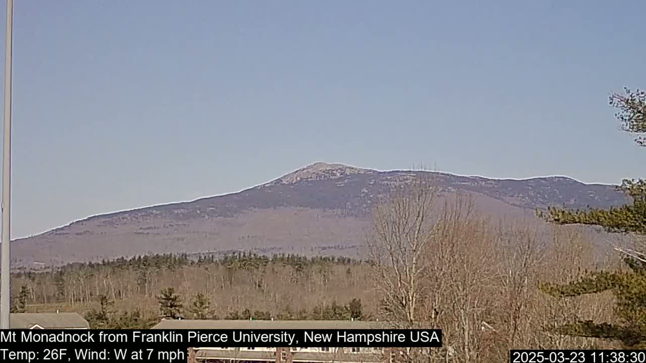 A distant, mountainous landscape is visible under a clear, light blue sky, with bare trees in the foreground.
