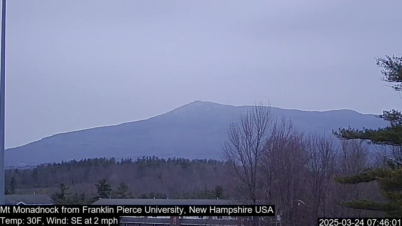 A distant, hazy mountain range is visible under a pale, overcast sky, with bare trees in the foreground.