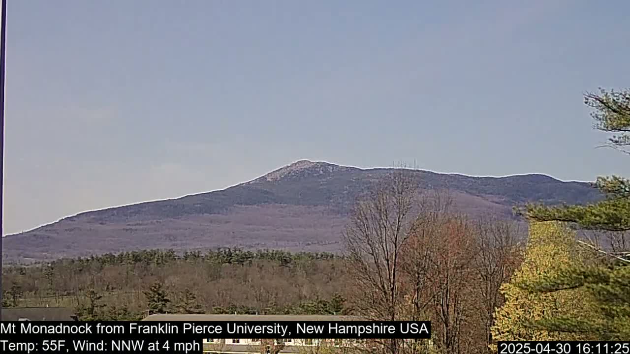 A large, purplish-grey mountain is visible in the distance under a clear, light-blue sky.