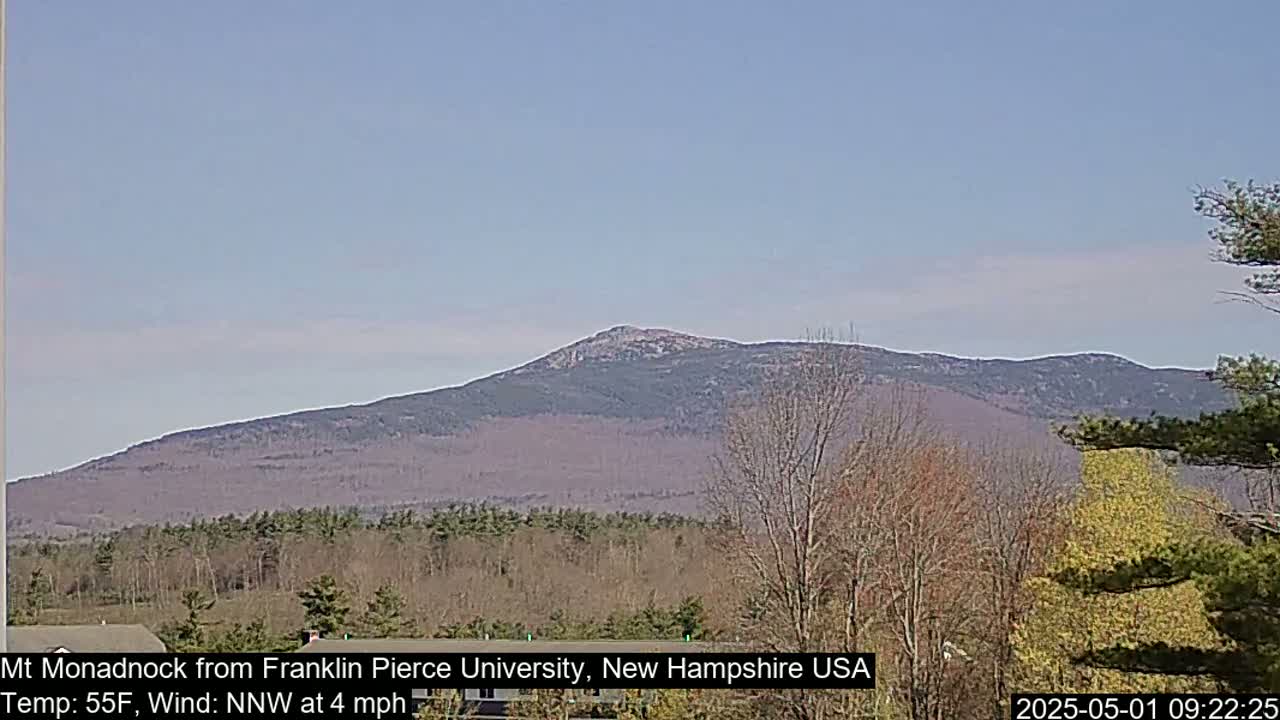 A distant mountain range is visible under a clear, light-blue sky, with bare trees and budding foliage in the foreground.