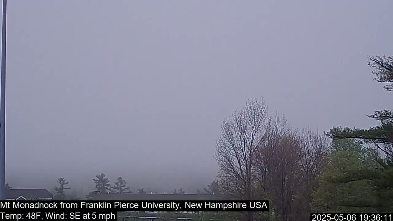 A foggy landscape shows bare trees and a few evergreens in the foreground, with a hazy view of more trees and a building in the distance.