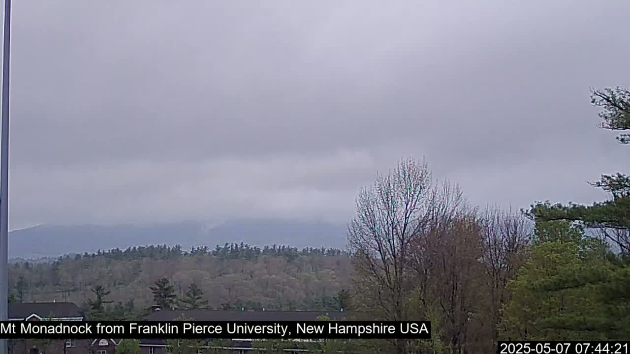A distant mountain range is visible through a cloudy, overcast sky, behind a foreground of budding trees.