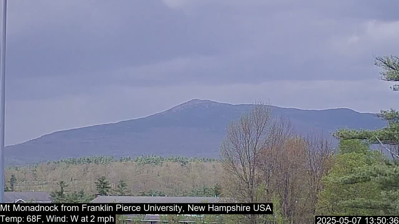 A distant, hazy mountain range is visible under an overcast sky, with a foreground of leafing trees and a hint of buildings.