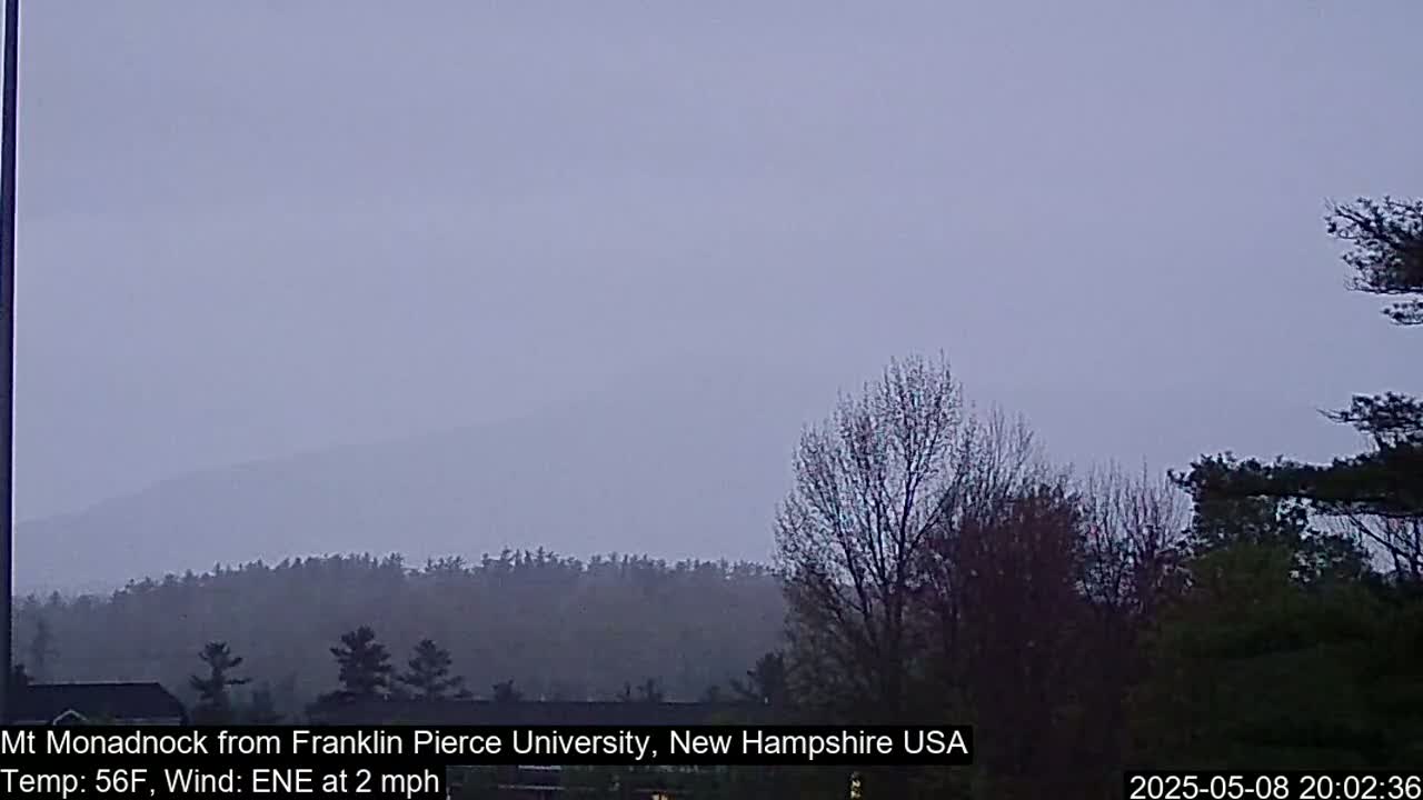 A hazy view of a mountain range in the distance, with bare trees in the foreground under an overcast sky.