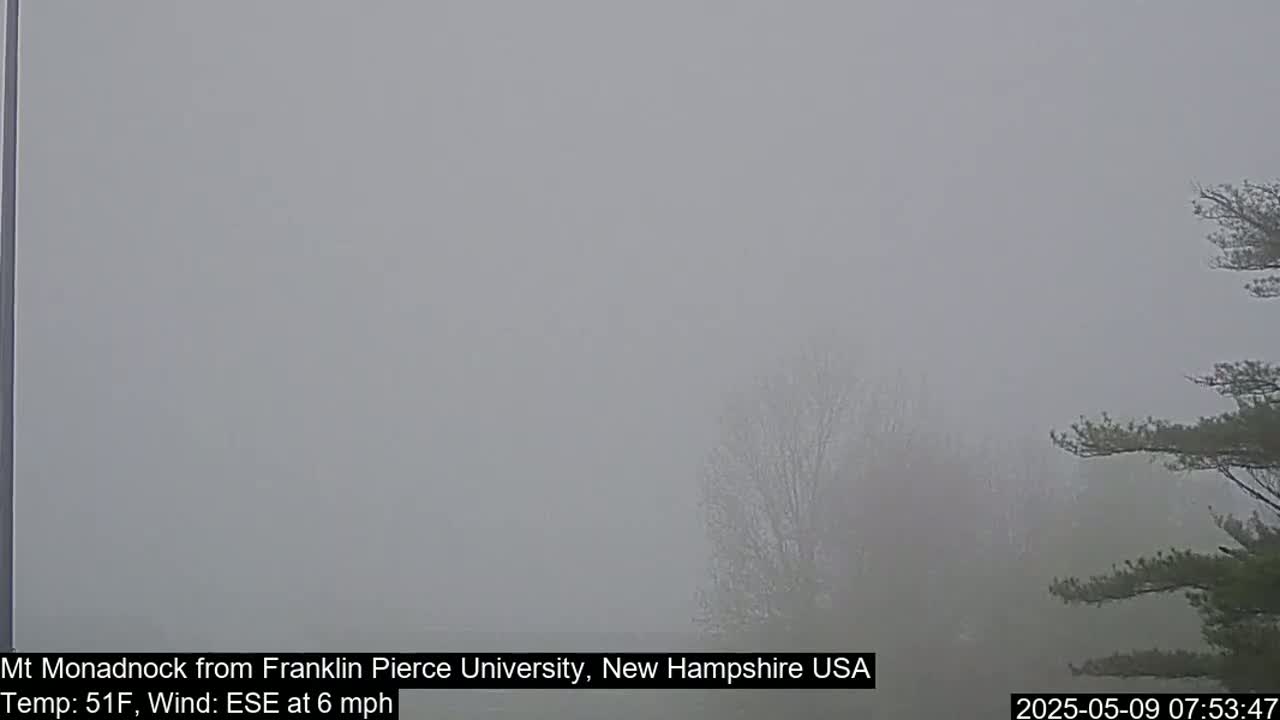 A foggy landscape with barely visible trees and a pole in the left corner.