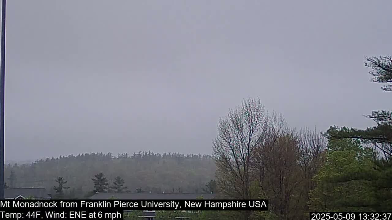 A view of a distant, tree-covered hill under an overcast sky.