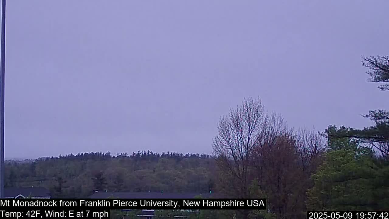 A view of a distant mountain range under a pale, overcast sky, with trees and shrubs in the foreground.