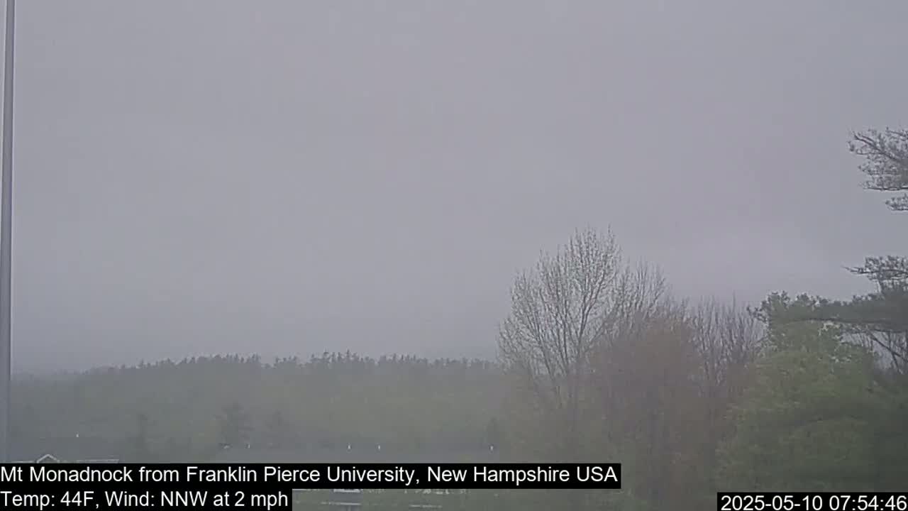 A hazy, overcast view of a distant mountain range and bare trees under a gray sky.