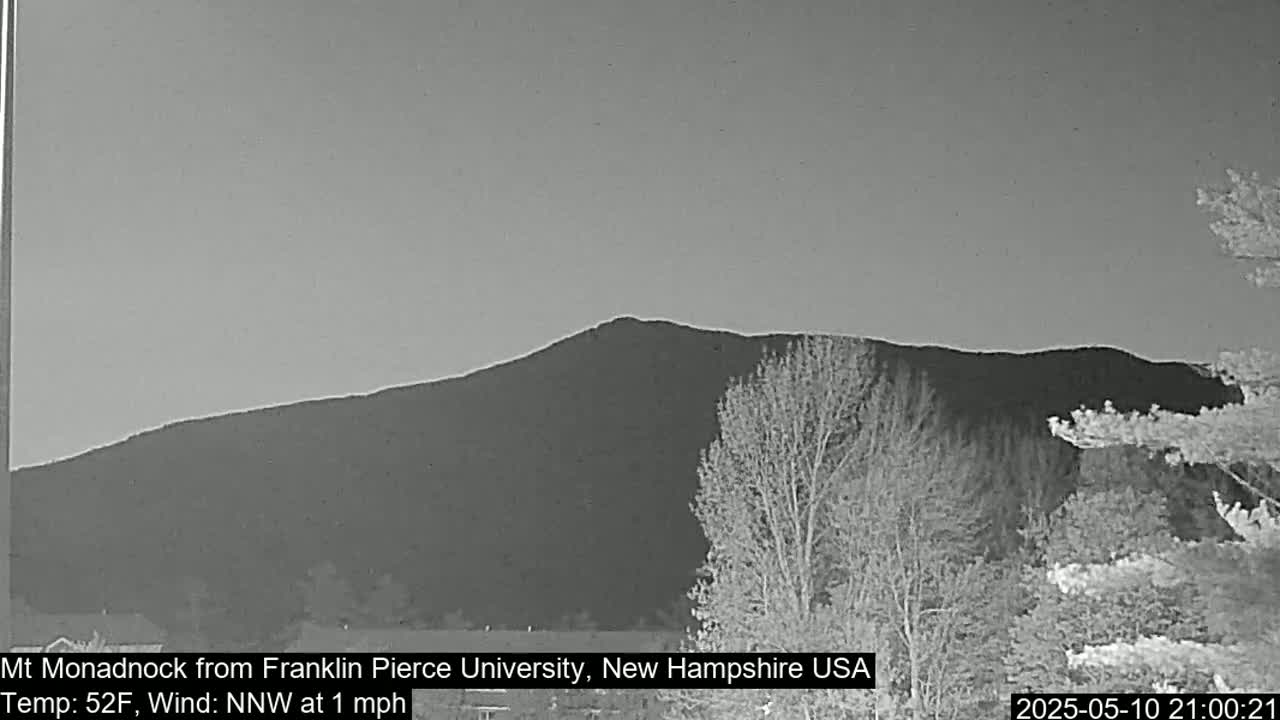 A large, dark mountain is visible in the distance under a light gray sky, with bare trees in the foreground.