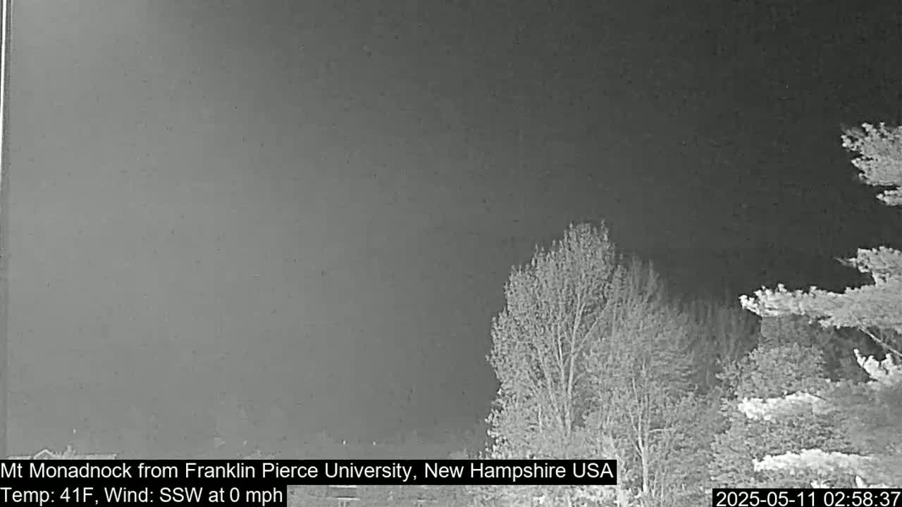A nighttime, grayscale view shows bare trees in the foreground under a dark, overcast sky.