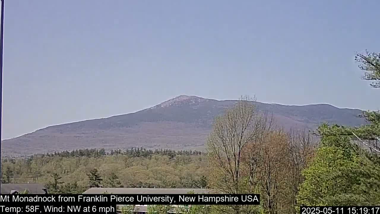 A large, dark-colored mountain is visible in the distance under a clear, light-blue sky, with a foreground of budding, deciduous trees.