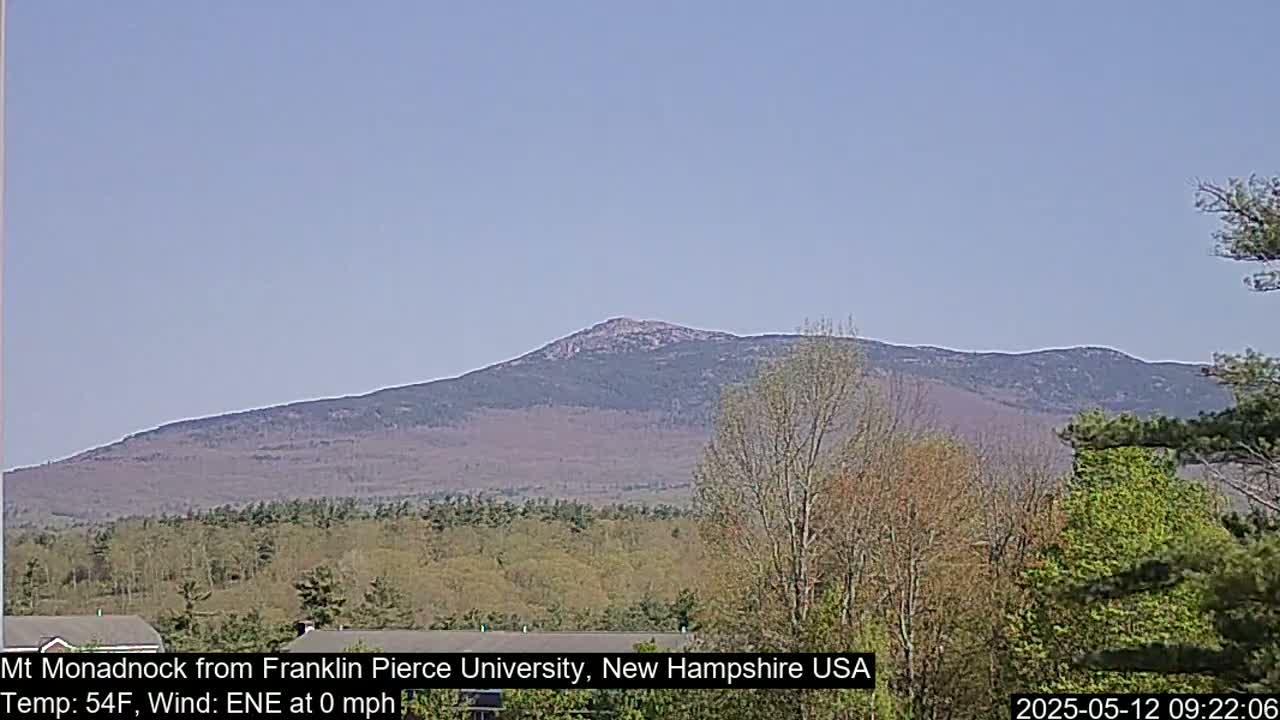 A distant, tree-covered mountain is visible under a clear, light-blue sky.