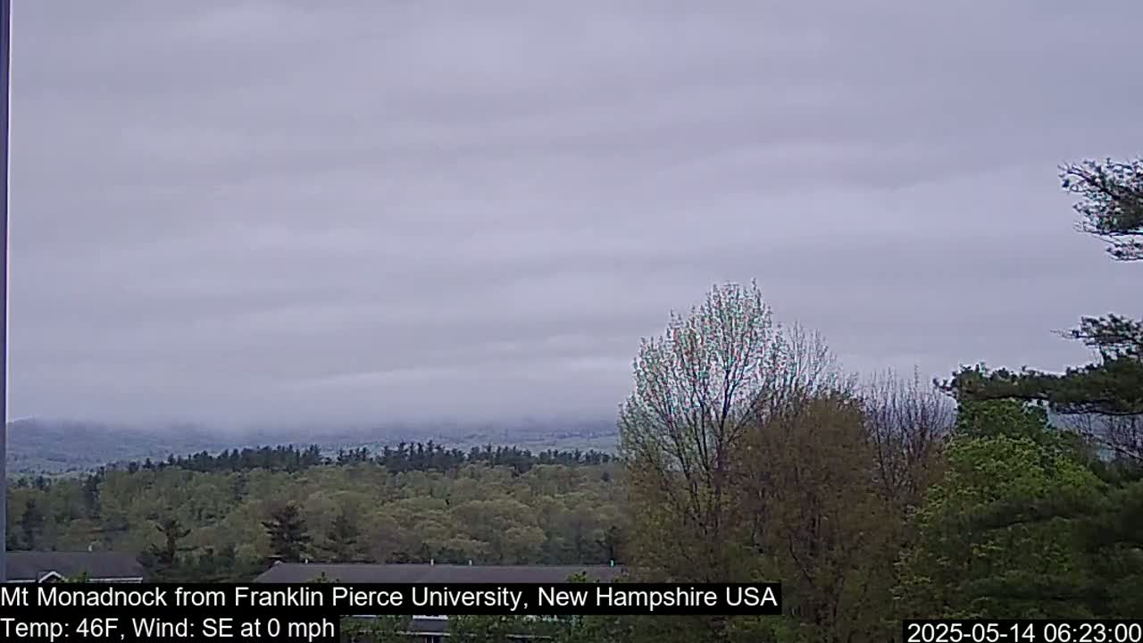A hazy view of a mountain range partially obscured by fog, with a foreground of deciduous trees under an overcast sky.