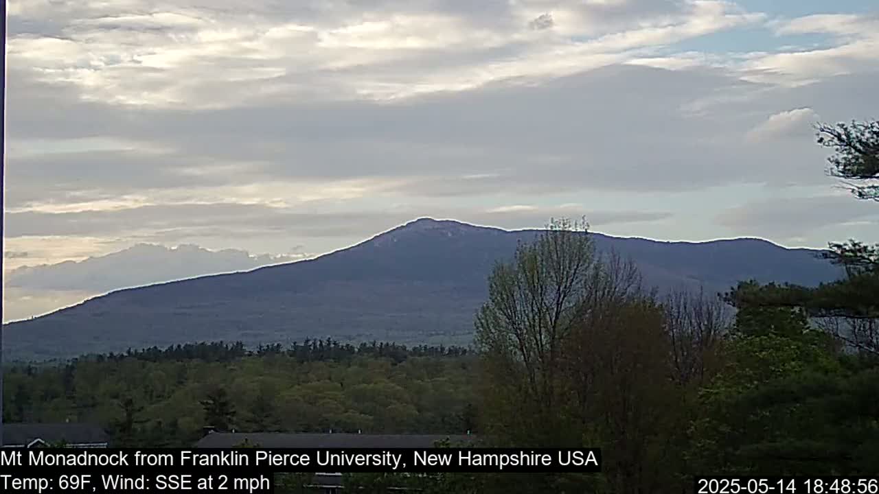 A large, dark mountain is visible in the distance under a mostly cloudy sky, with a foreground of trees and shrubs.