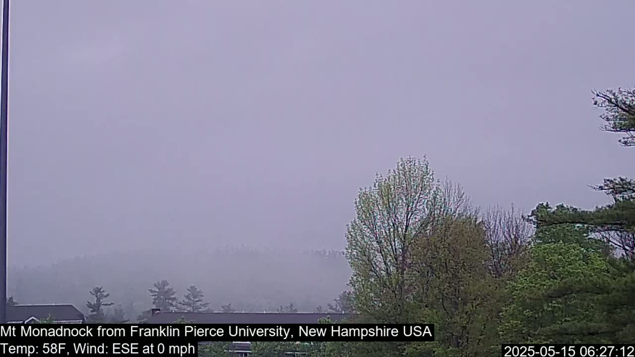 A hazy, gray sky hangs over a distant mountain range partially obscured by fog, with deciduous trees in the foreground.