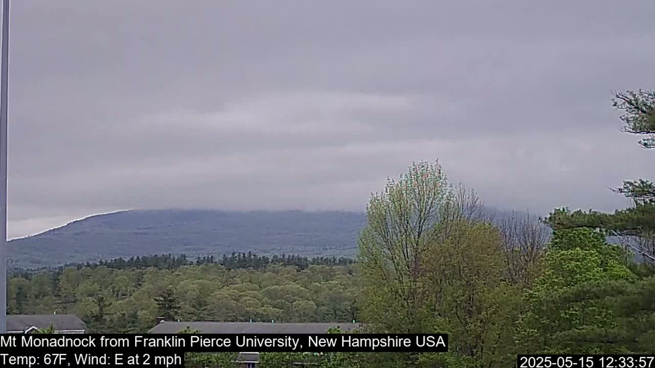 A distant mountain range is visible under an overcast sky, with a forest of deciduous trees in the foreground.