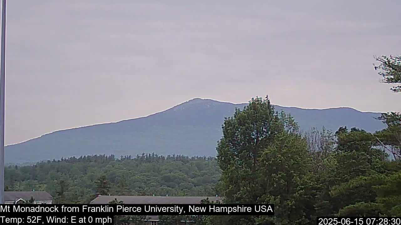 A hazy mountain range is visible in the distance, behind a line of green trees under a light gray sky.