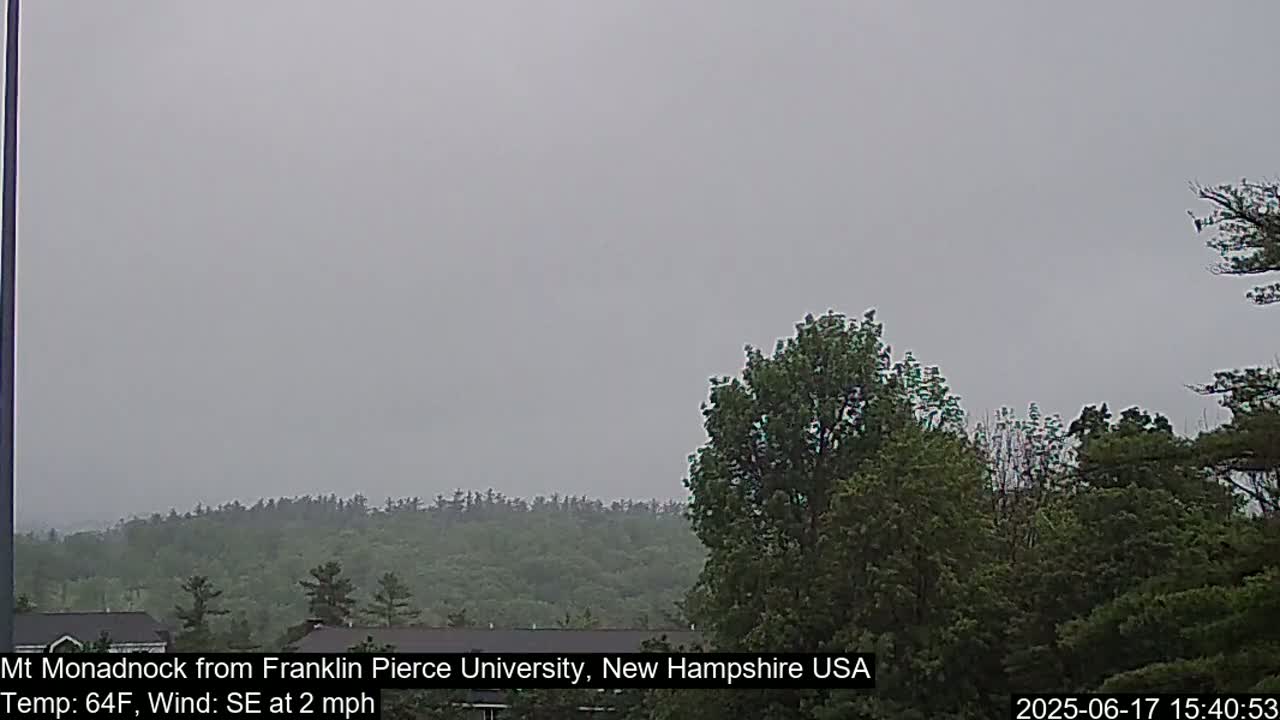 A hazy view shows a line of green trees and a gray sky under overcast conditions.