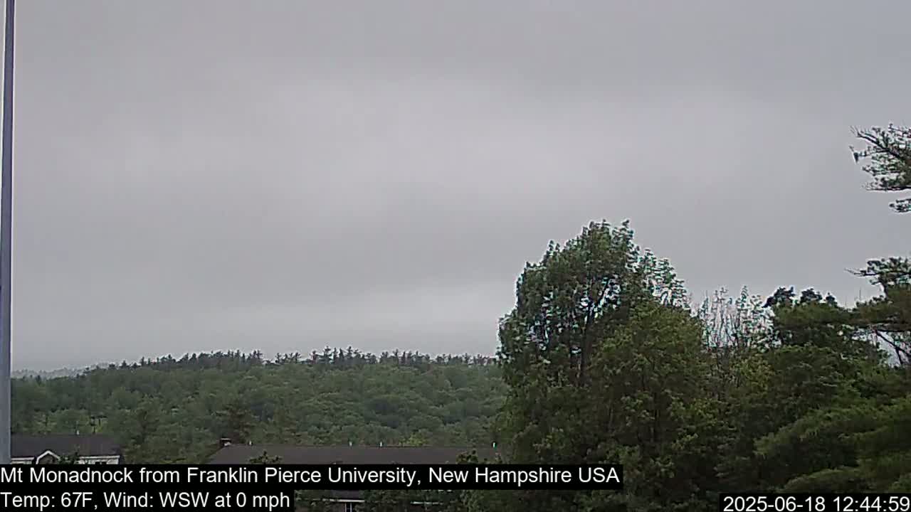 A view of a tree line and distant hills under an overcast sky.