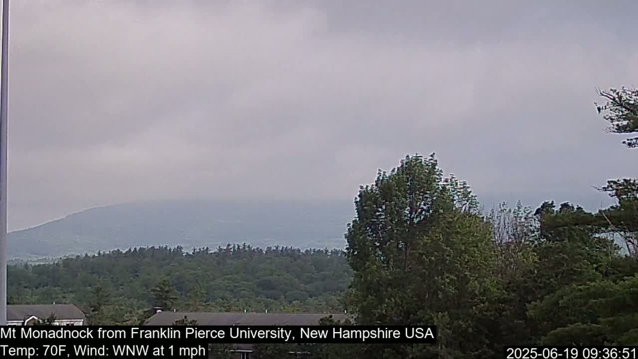 A hazy mountain range is visible in the distance behind a line of green trees under an overcast sky.