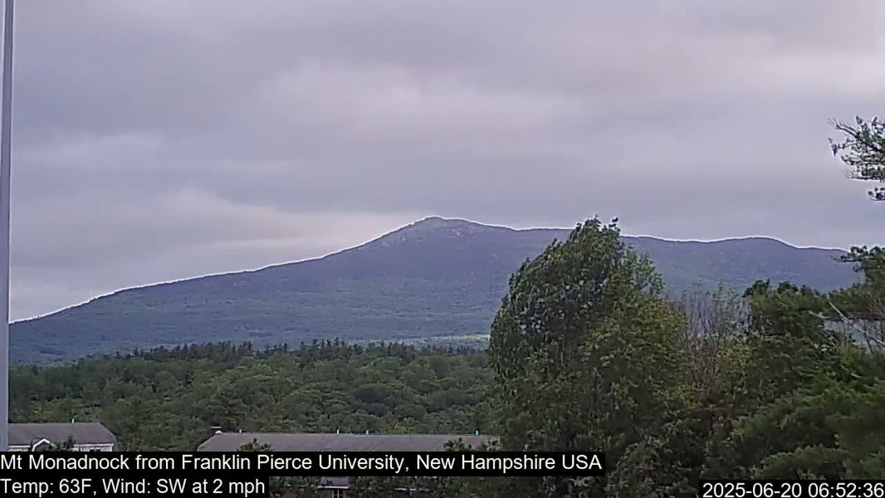 A large, dark-colored mountain is visible in the distance under an overcast sky, with a foreground of lush green trees.