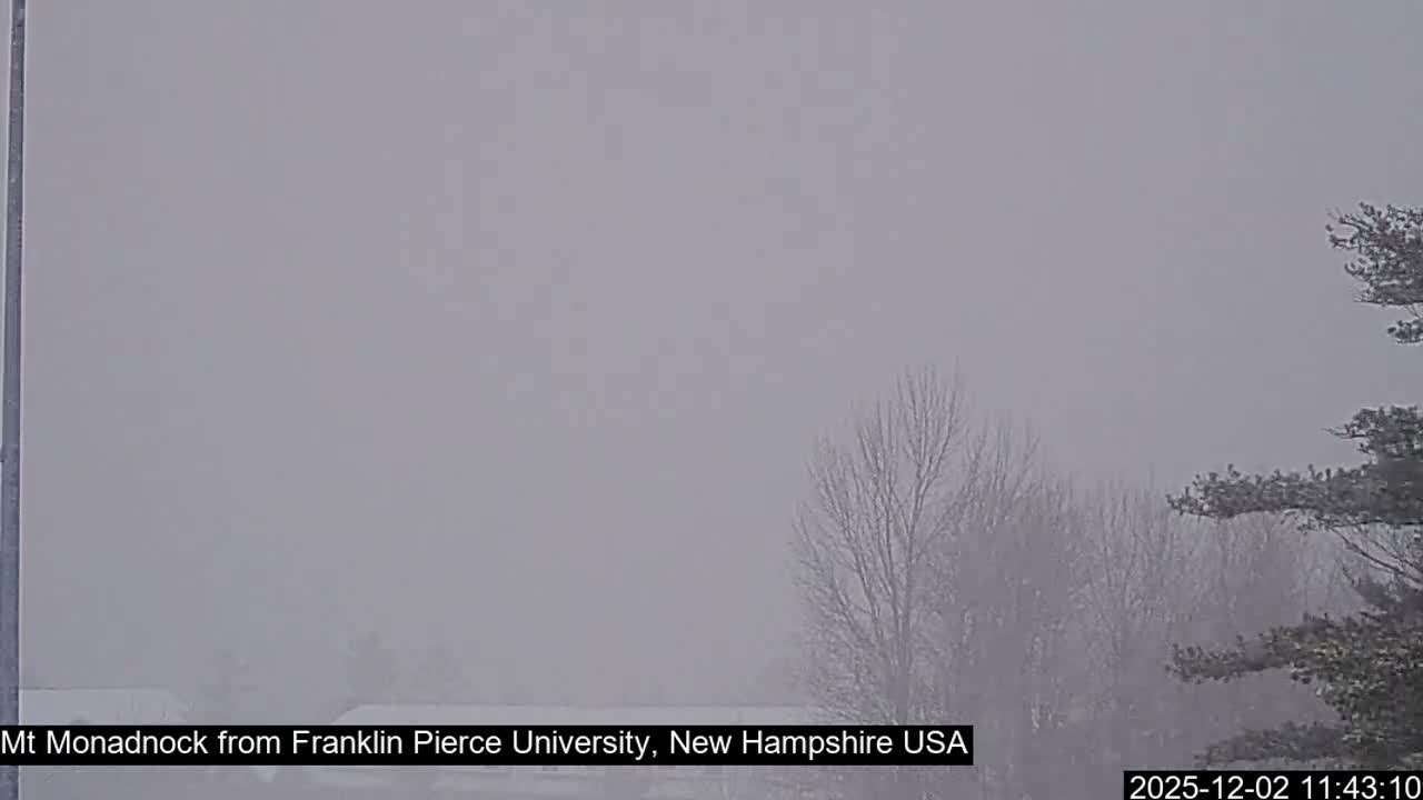 An outdoor scene shows heavy snowfall or dense fog, leading to extremely low visibility that obscures the distant landscape, with only the silhouettes of bare trees and some snow-dusted evergreens visible in the foreground.