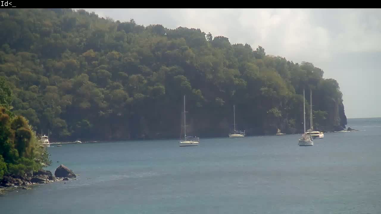 Several sailboats are anchored in calm water off a lush, green, cliffside.
