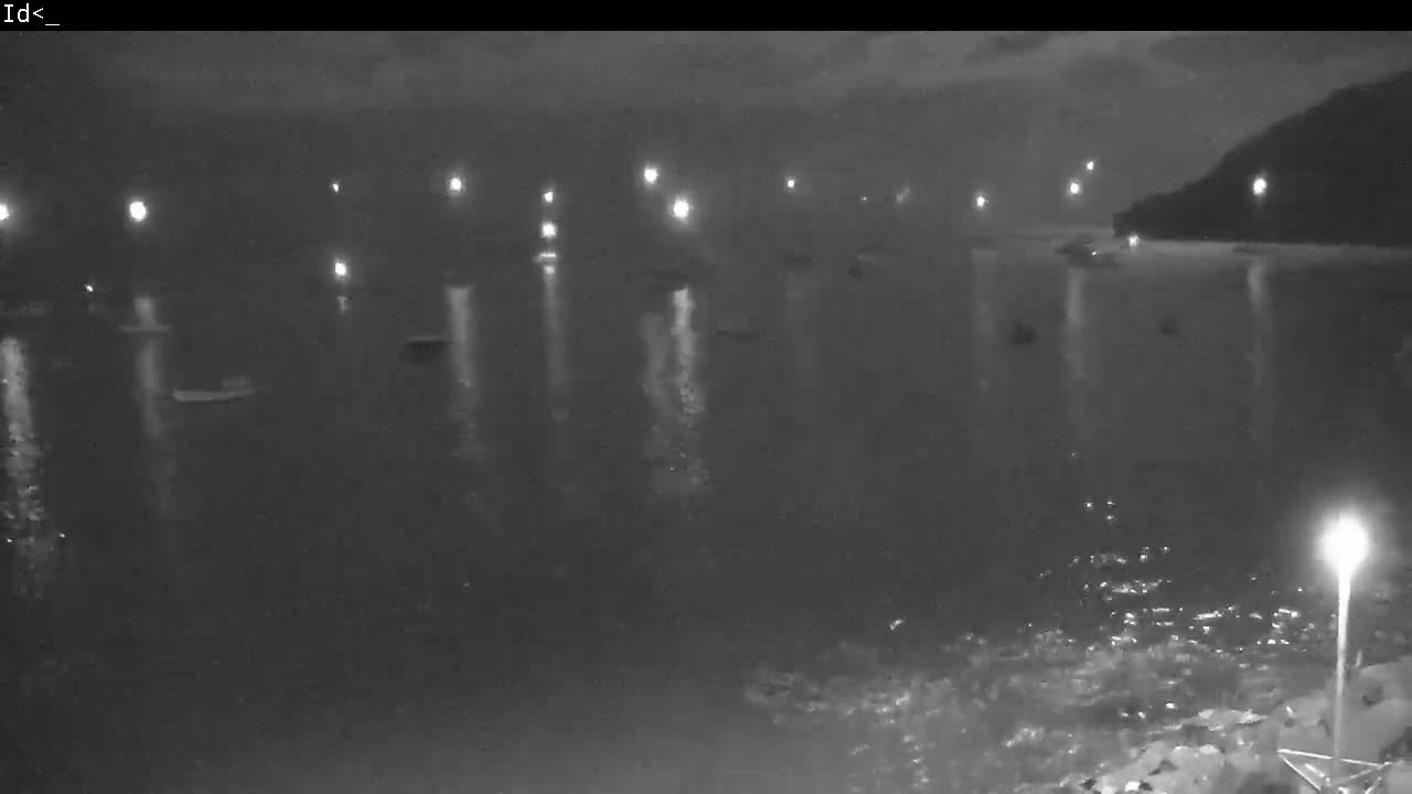 A nighttime, low-light view of a body of water with several boats and lights reflecting on the surface.
